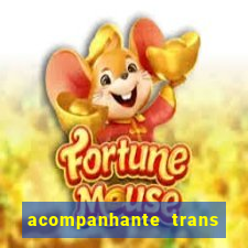 acompanhante trans em santos